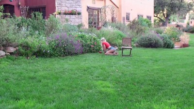 Alix Lynx Sex videos 💫