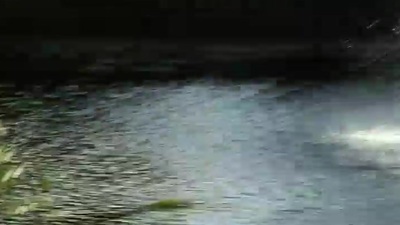 Paige Sex videos 💫