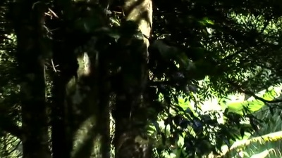 Jbrown Sex videos 💫