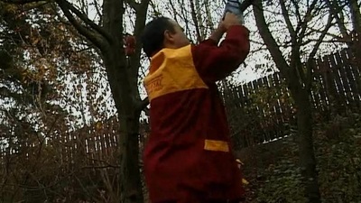 Fuck stick is pleasurable for a pleasurable